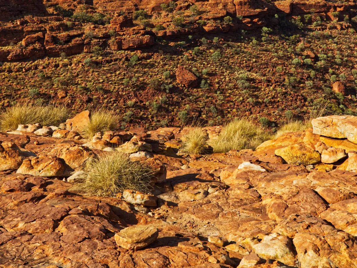 Entdecken Sie den Zauber Australiens: Ein Reiseleiter für den ultimativen Abenteurer