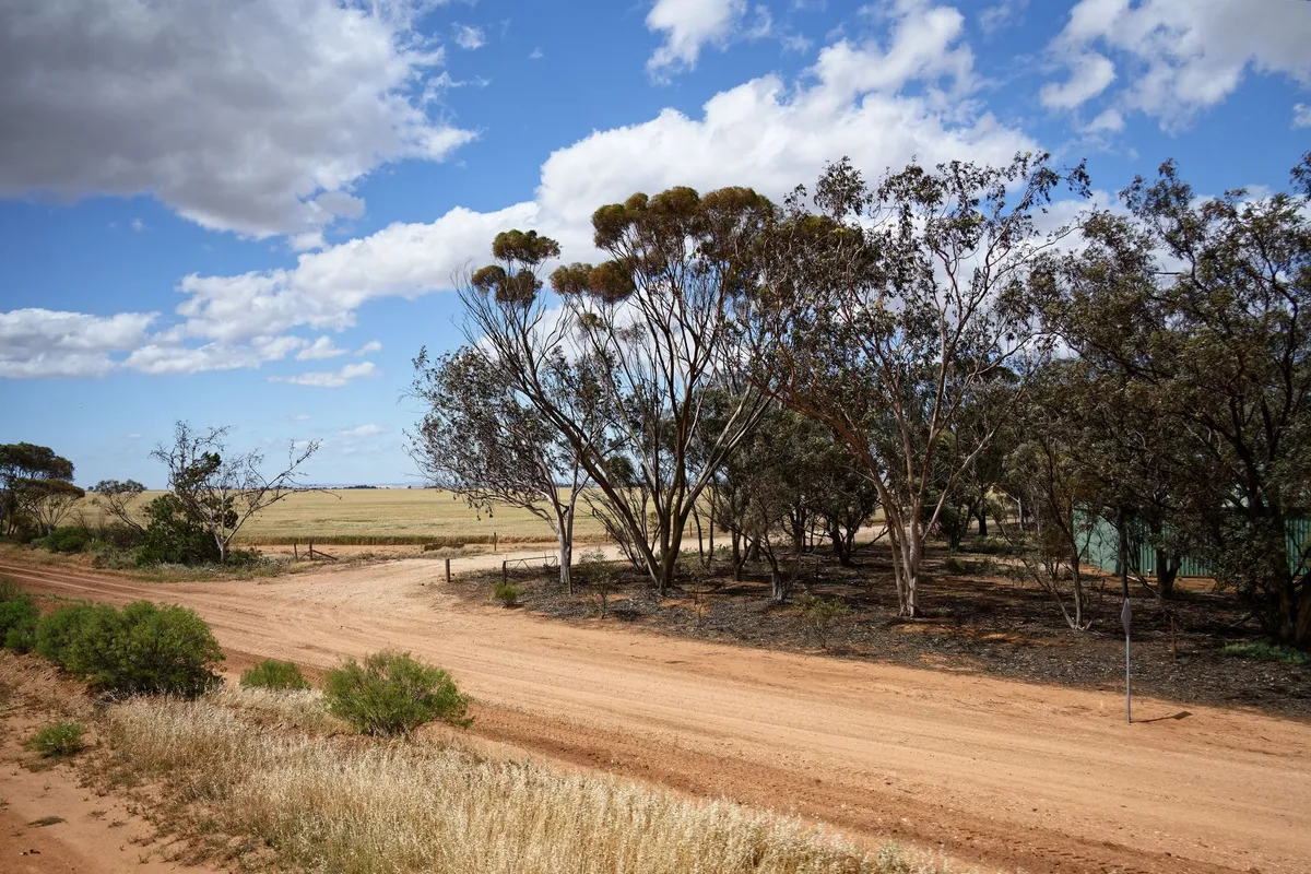 Australische Landschaft mit roten Felsen