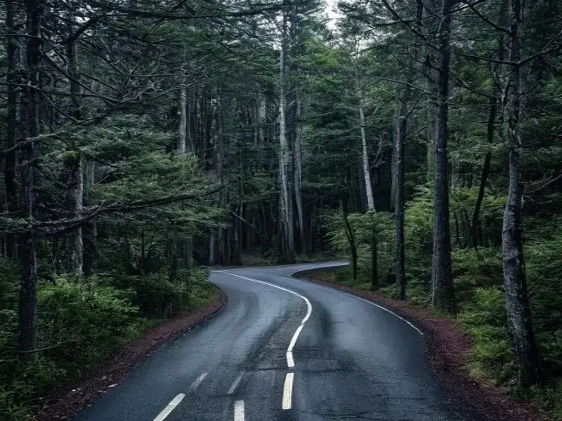 Roadtrip durch den Schwarzwald