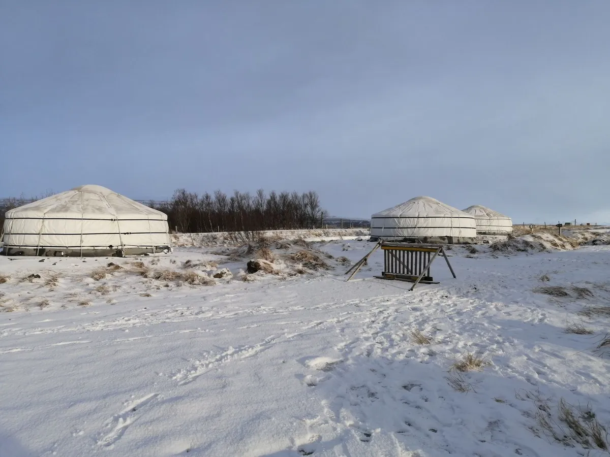 Felt Horizons: Mastering Kyrgyz Yurt Homestays for the Modern Nomad