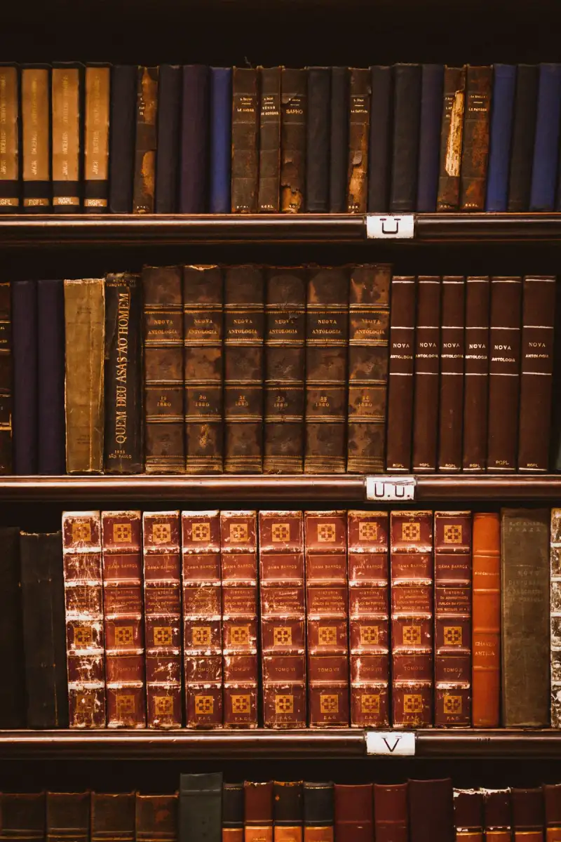 Fiamme che Consumano, Idee che Persistono: L'Antica e Incessante Guerra Contro il Libro