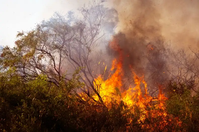 Antichi rotoli di bambù cinesi in fiamme, soldati della dinastia Qin sorvegliano il rogo.