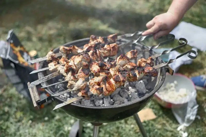 Chicken shish kebabs grilling over open flame