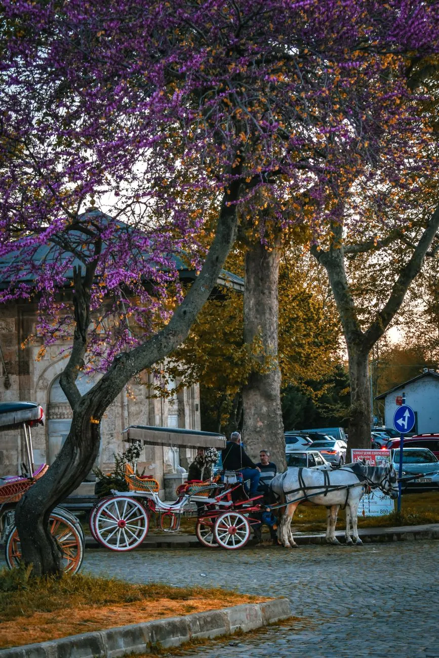 Horse-drawn carriage on Büyükada island in Istanbul
