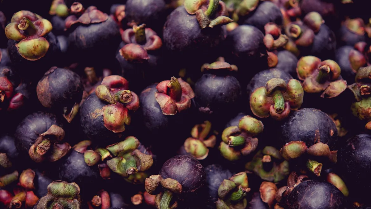 Mangosteen cut open showing white segments