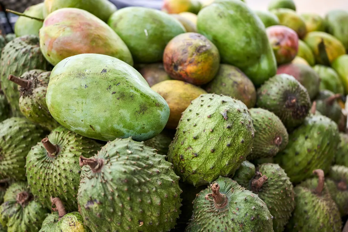 Soursop fruit cut open showing white flesh and black seeds