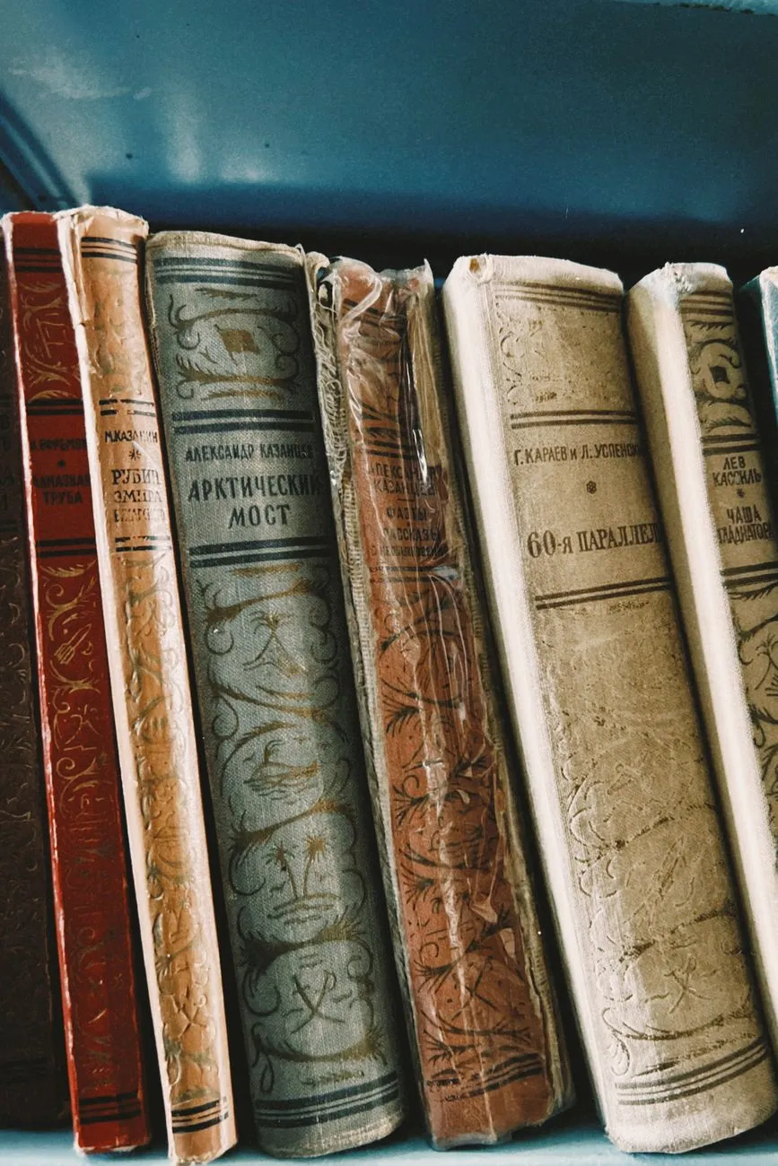 From Goethe’s Apprentice to Modern Hero: Unraveling the Bildungsroman’s Secret Path