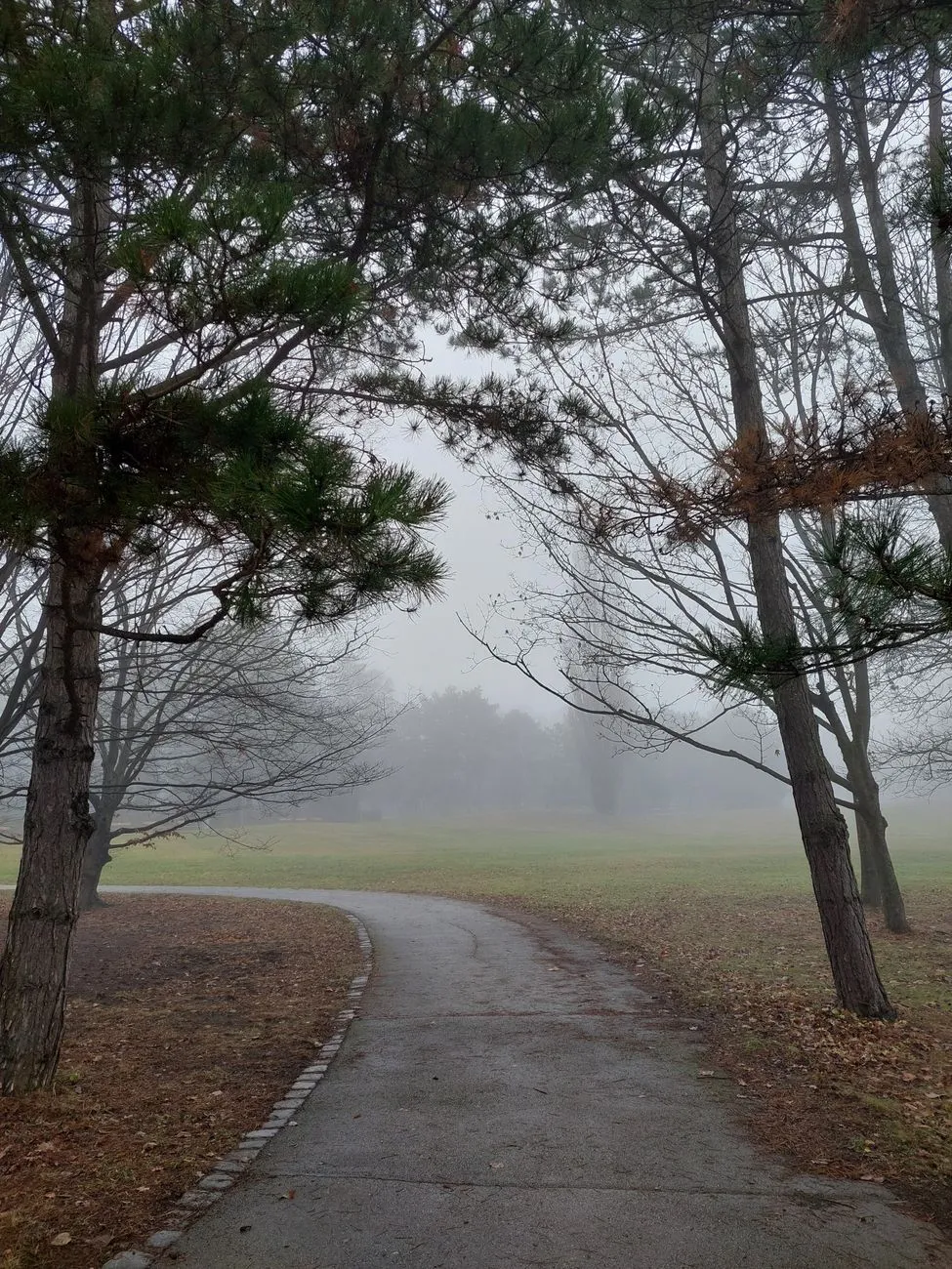 Young traveler on a misty road