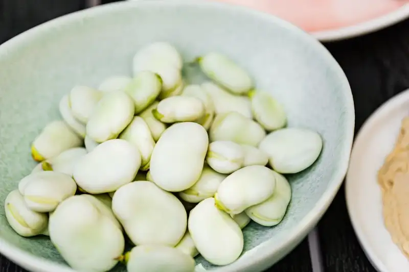 Ful Medames: The Ancient Fava Bean Breakfast