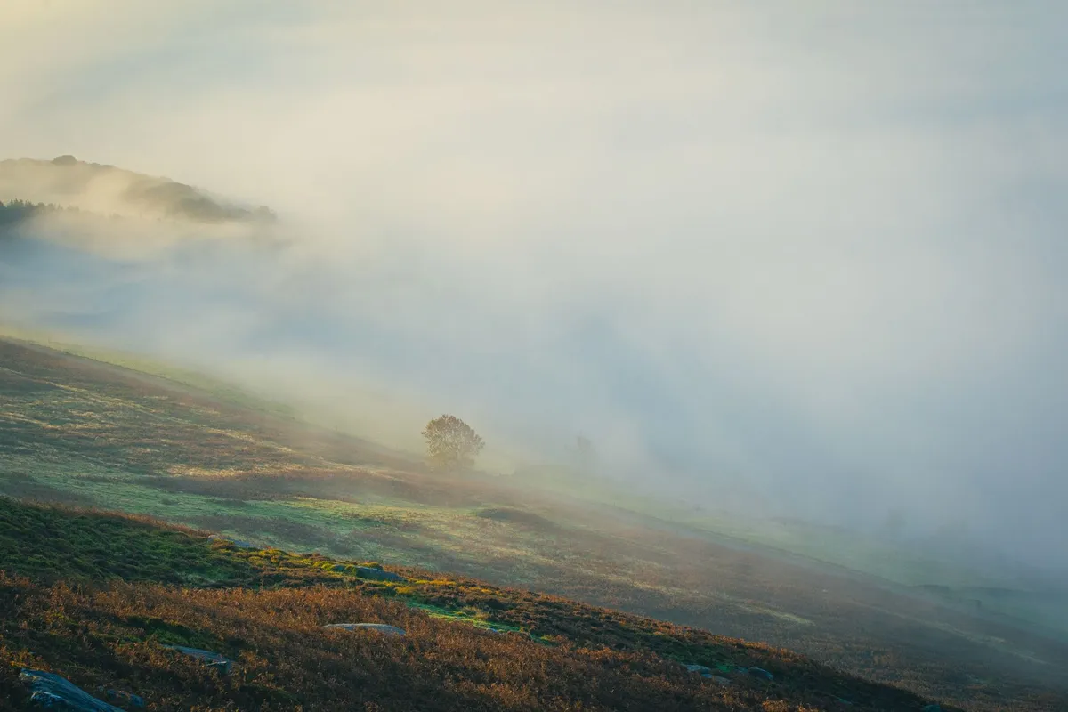 Ghosts of the West Yorkshire Moors: The Savage Soul of Wuthering Heights