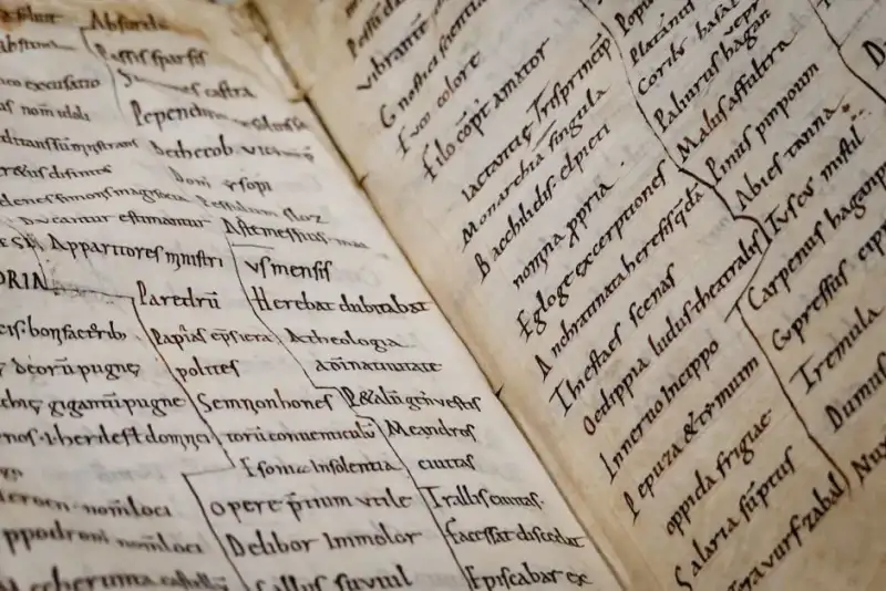 Il Dialogo Silenzioso: L'Arte della Marginalia e il Mondo Segreto delle Annotazioni Nei Libri Antichi