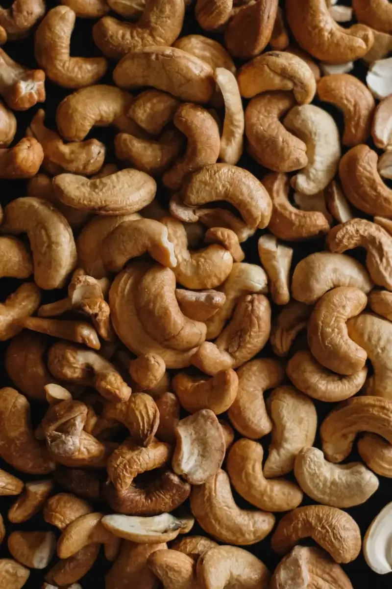 High protein foods