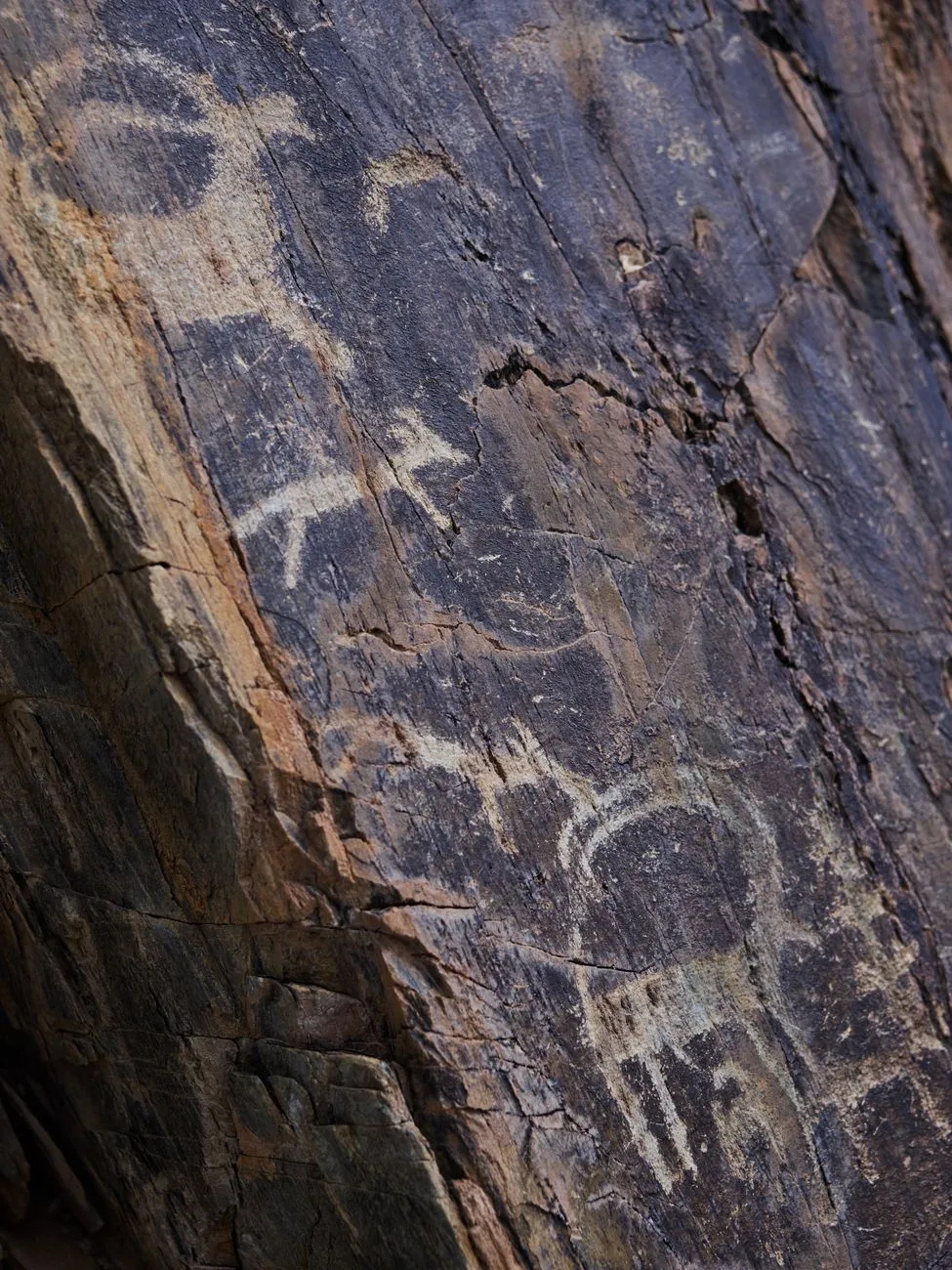 Ancient petroglyphs near Chilas