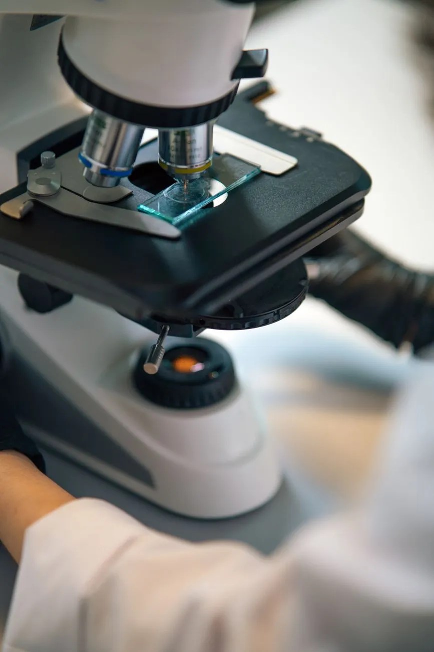 Scientific food analysis with microscope and petri dishes