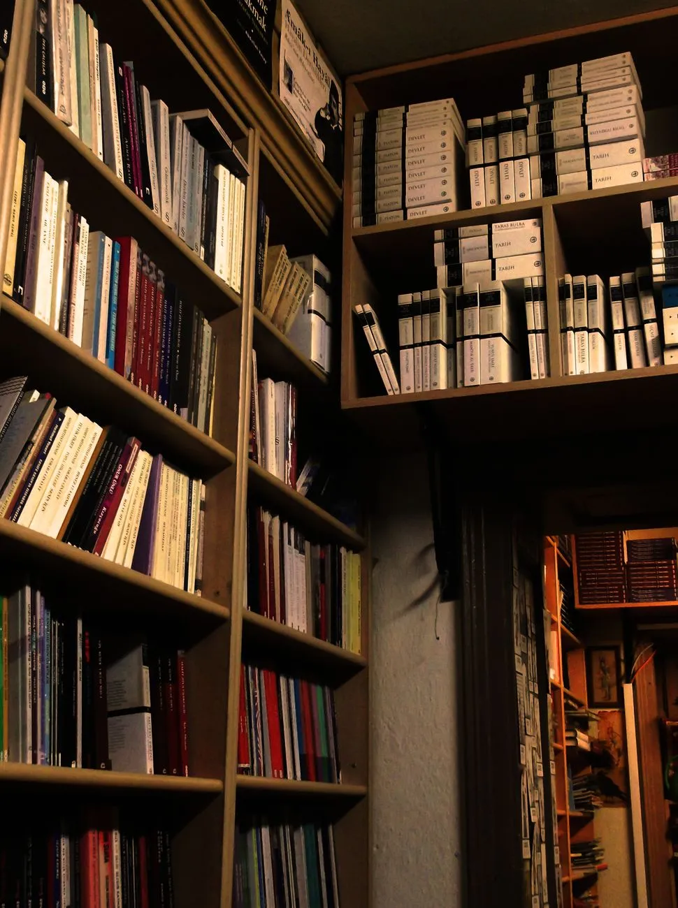 Modern literary theory books