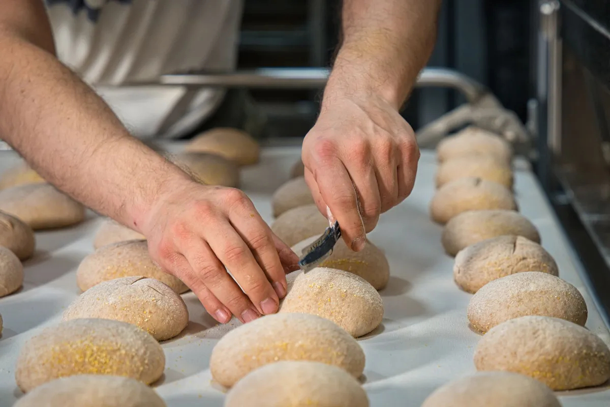 Shaped bread loaves on linen couche