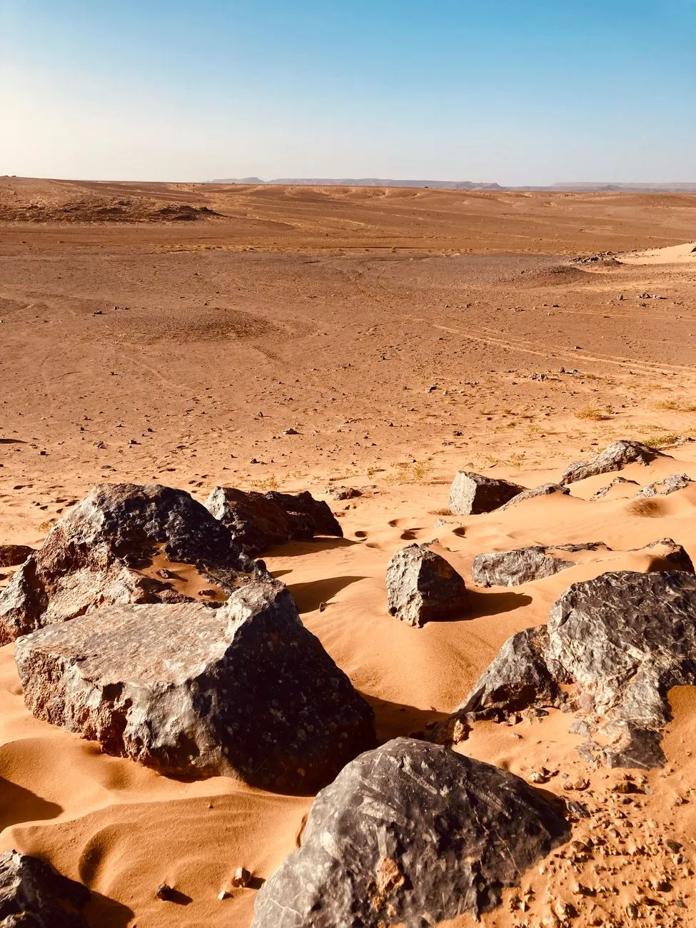 L'Eco del Destino: Il Viaggio Metafisico tra le Sabbie di L'Alchimista