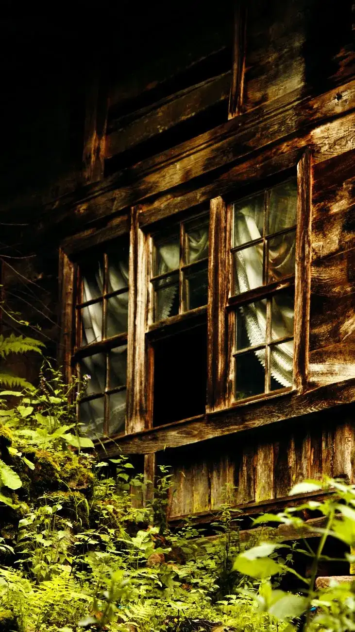Un'atmosfera di mistero e nostalgia nel profondo Sud
