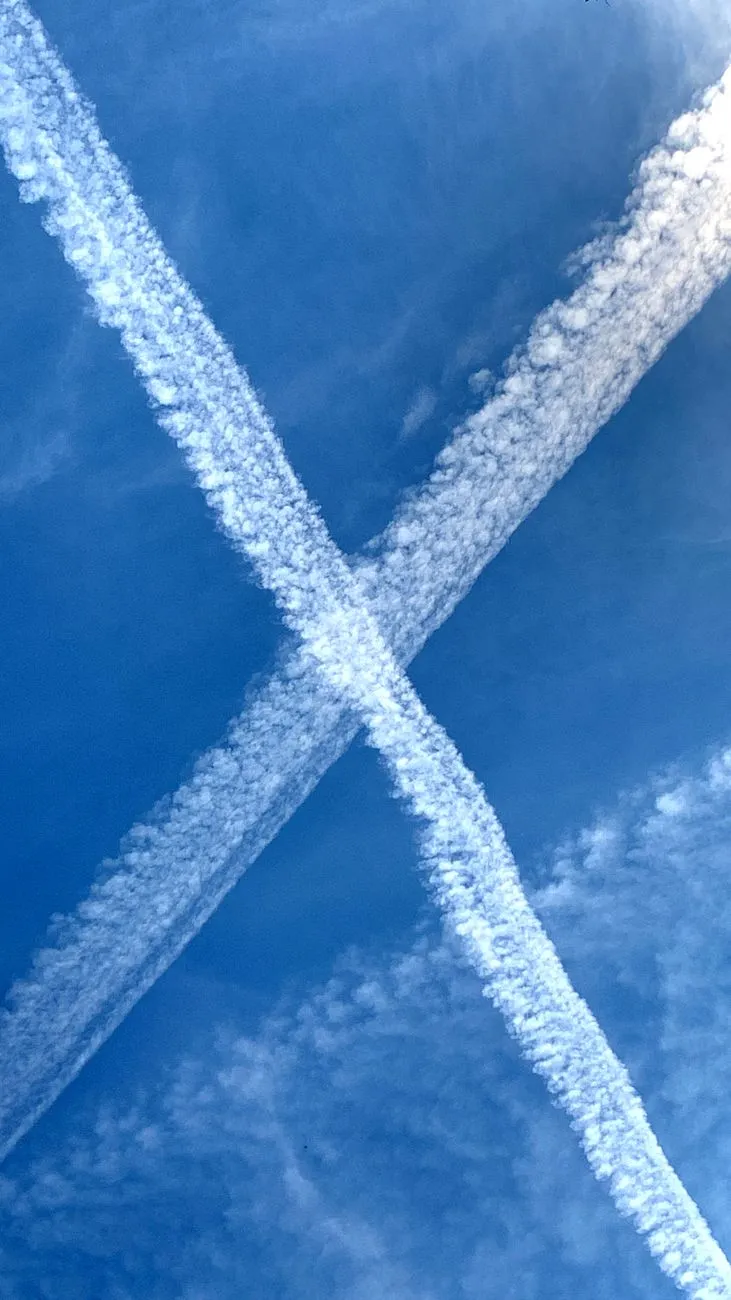 Carbon footprint of air travel