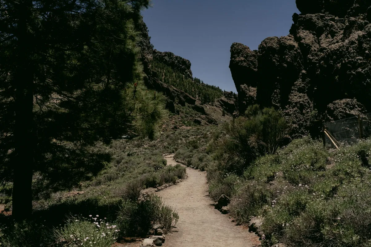 Hiking trail in protected area