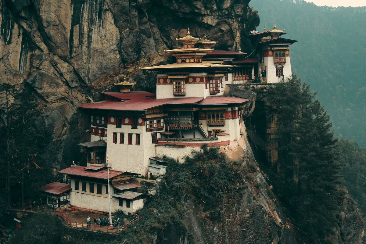L'Eveil des Cimes : Suspendu dans le Souffle du Tigre