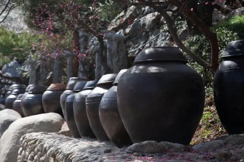 Pots en terre cuite traditionnels