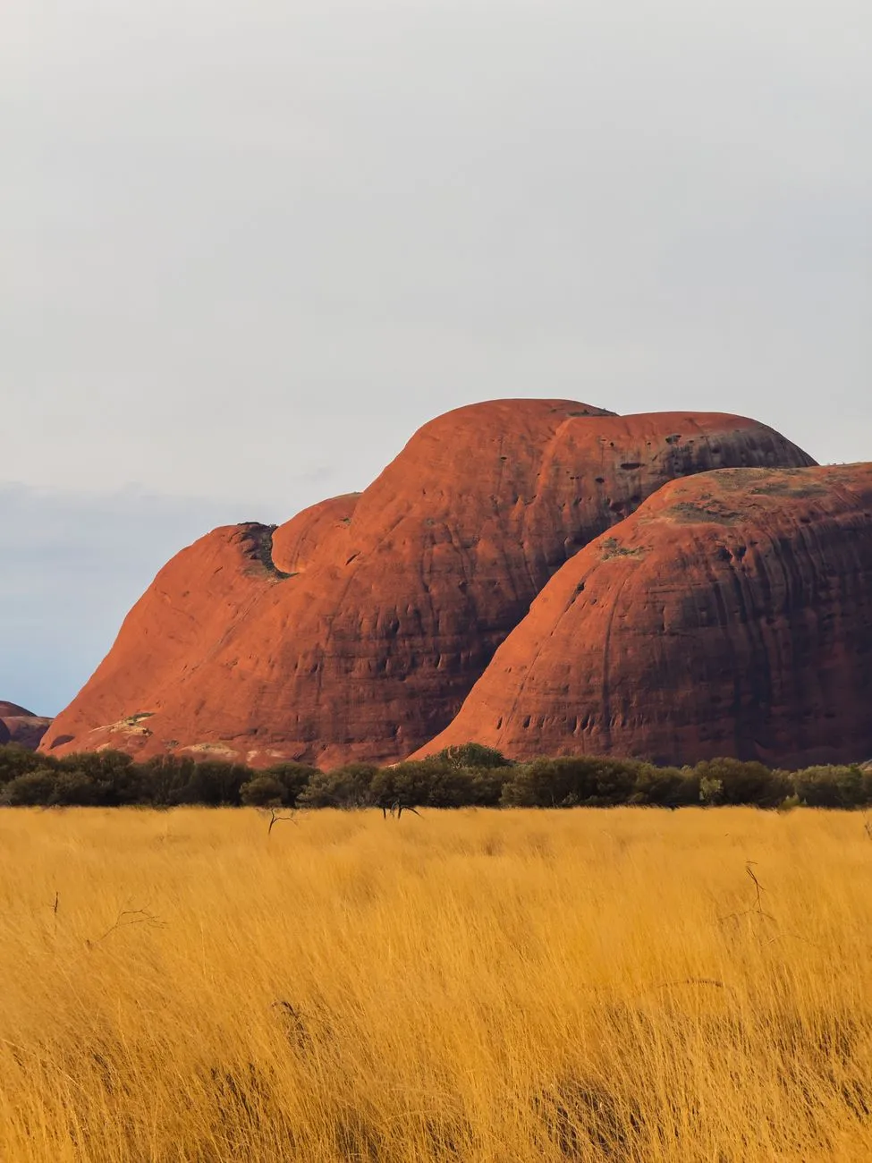 Red center landscape with Uluru rock