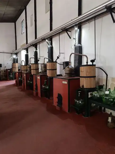Anciens Bassins de Production de Garum
