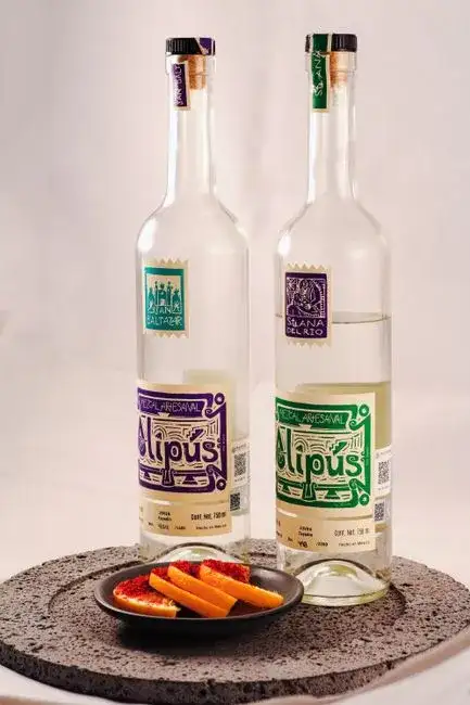 Bouteilles Modernes de Garum Artisanal