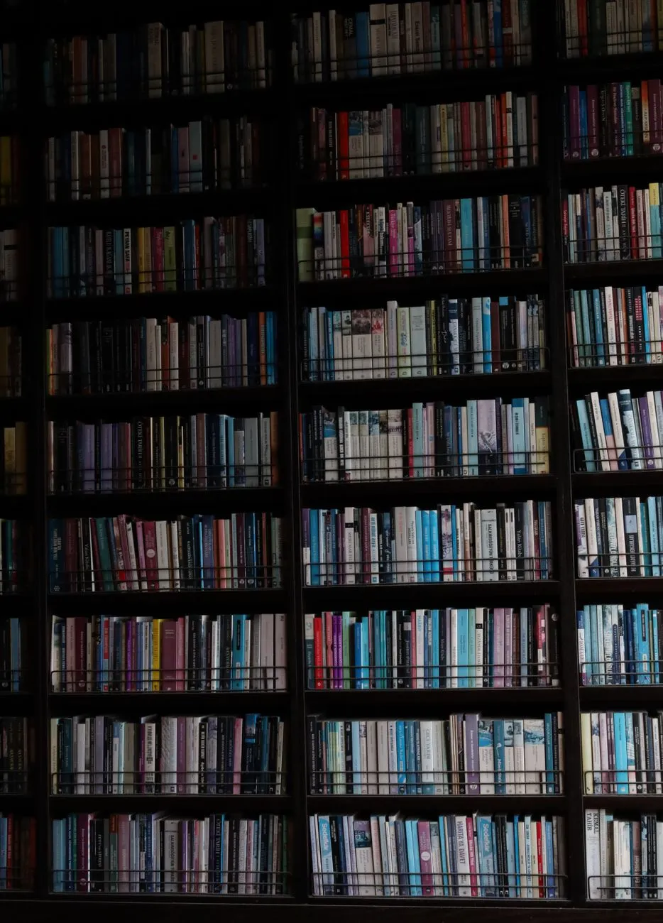 Old library with dark wooden shelves