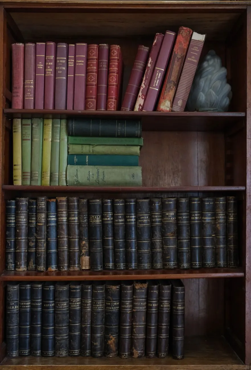 Les Mots sous Verrou : Voyage au Cœur des Bibliothèques Interdites de l'URSS