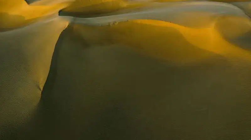 Vue aérienne d'une vaste colonie de manchots de Magellan sur une île rocheuse de Patagonie chilienne, par temps brumeux.