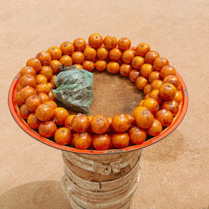 Mafe: The Rich Peanut Stew of West Africa