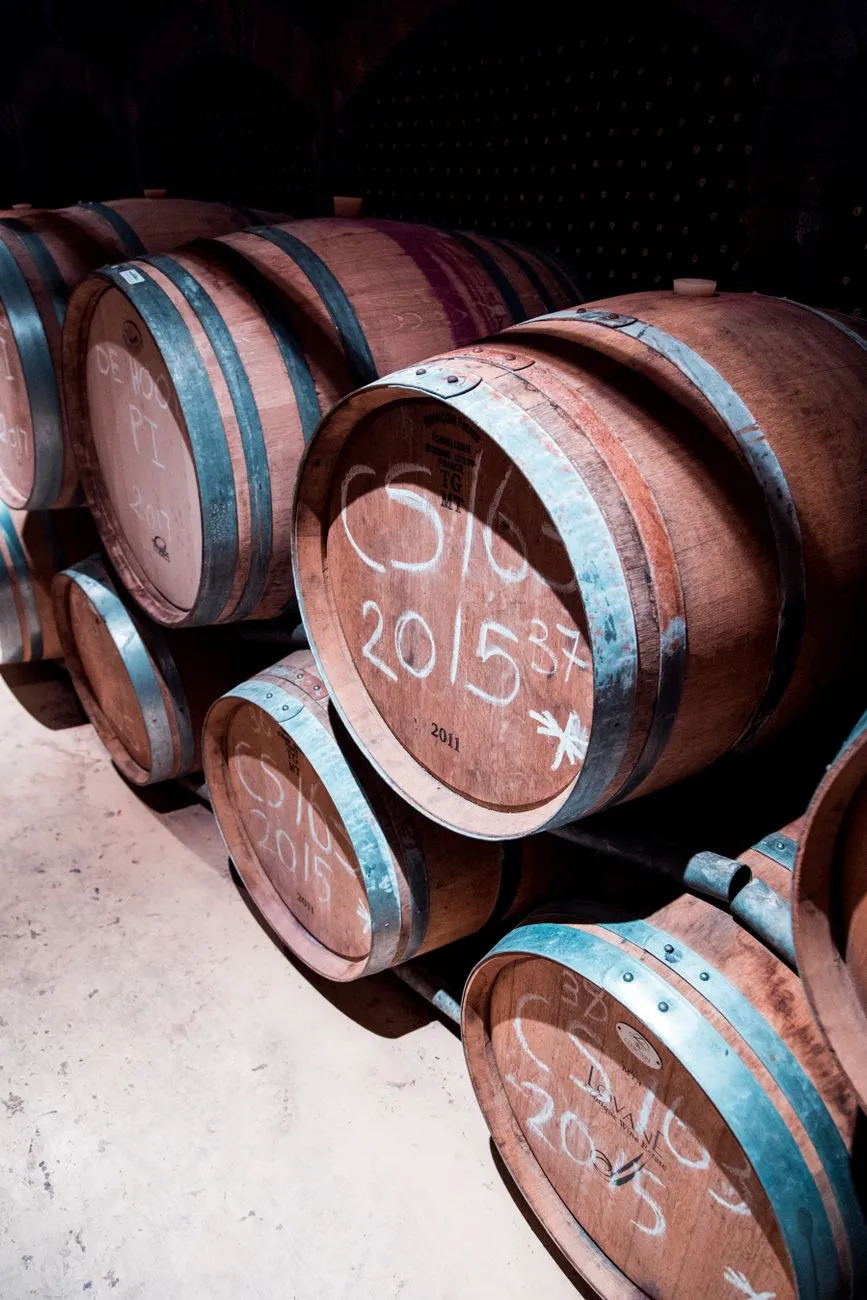 Miso Alchemy: Scaling Home Fermentation to Artisanal Mastery