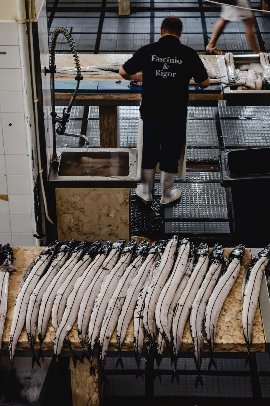 Fresh seafood at a Portuguese market