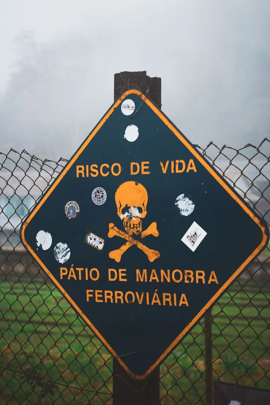 RISC-V Adoption