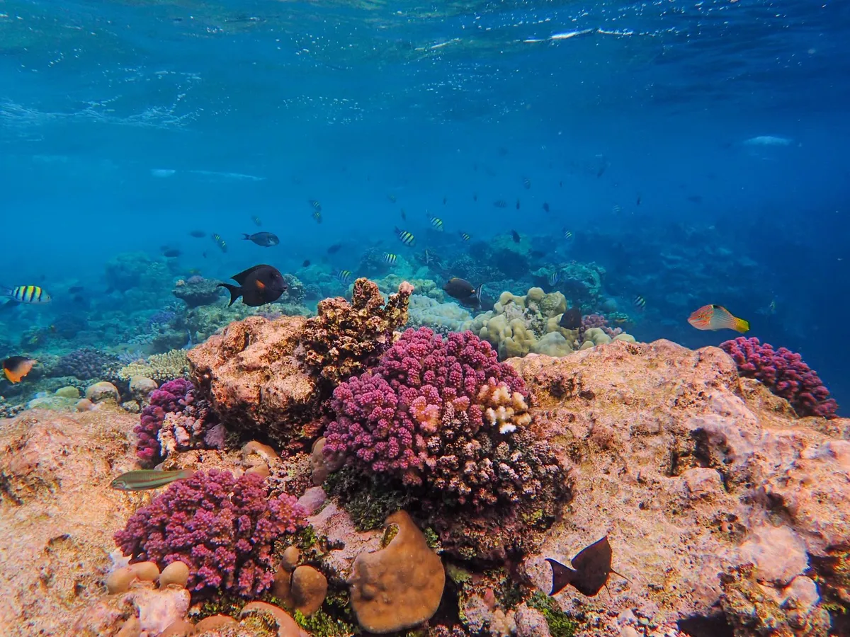 Underwater composition lighting
