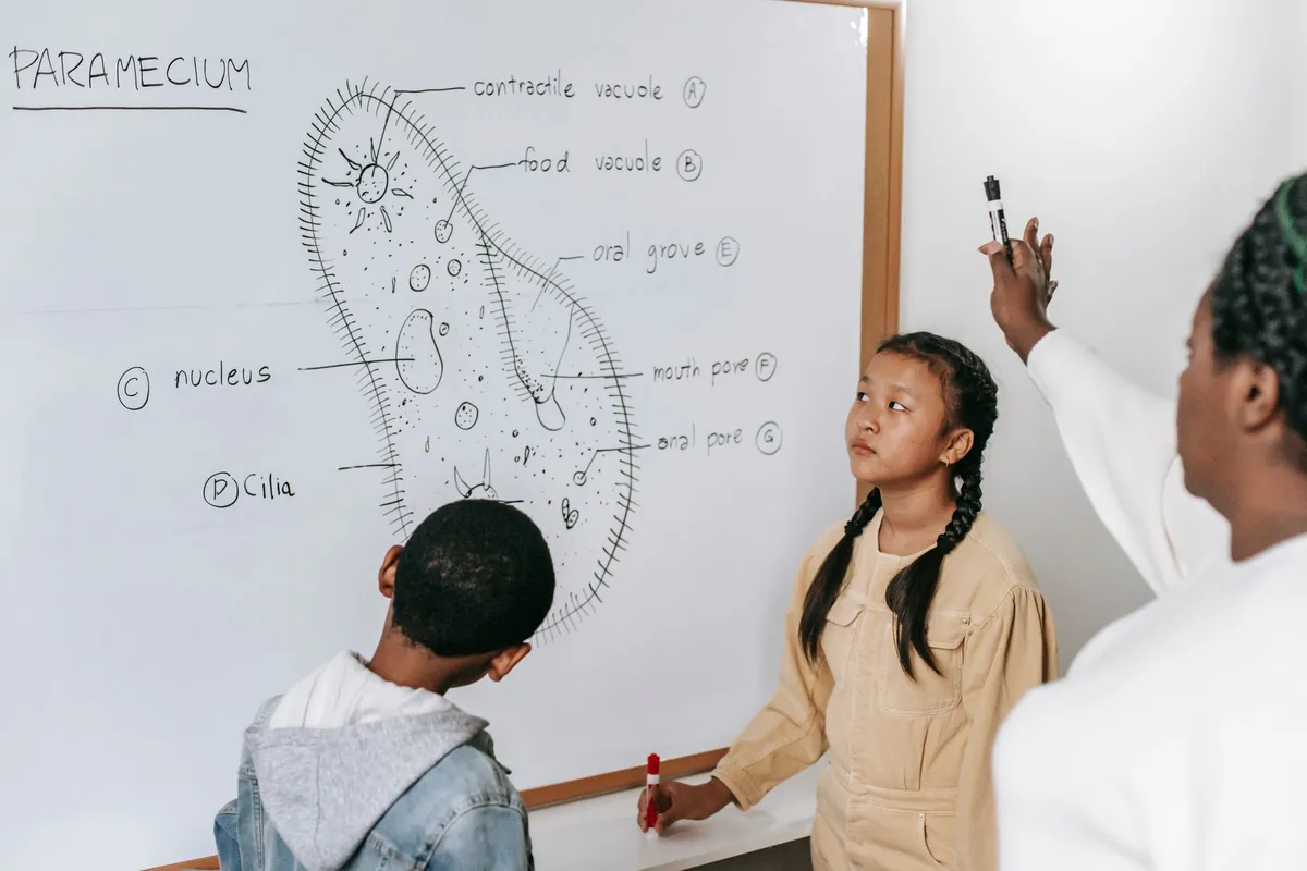 Neuron Model Diagram