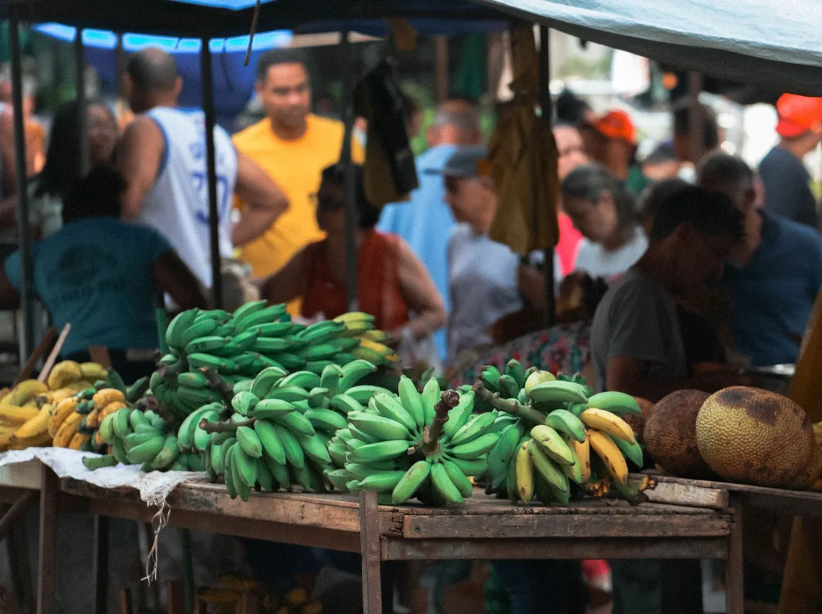 Local market stall selling fresh produce in St. John's