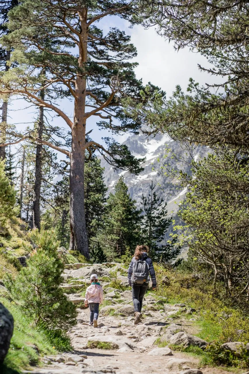 A family hiking through a lush green forest trail