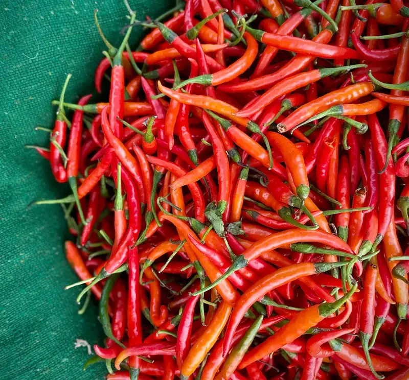 Chili Oil Preparation