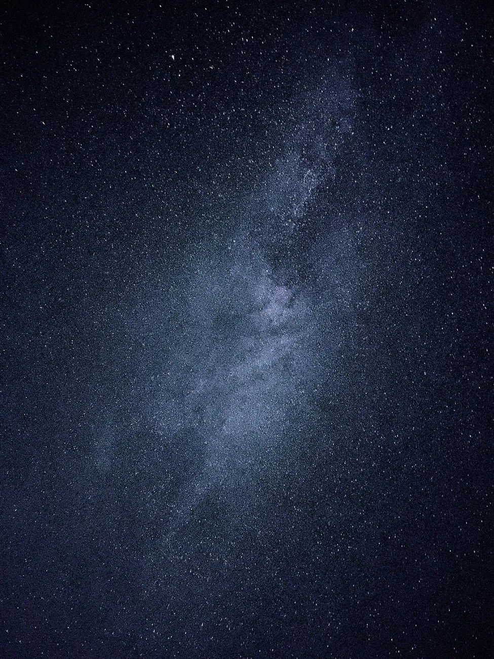 Night sky over rainforest canopy