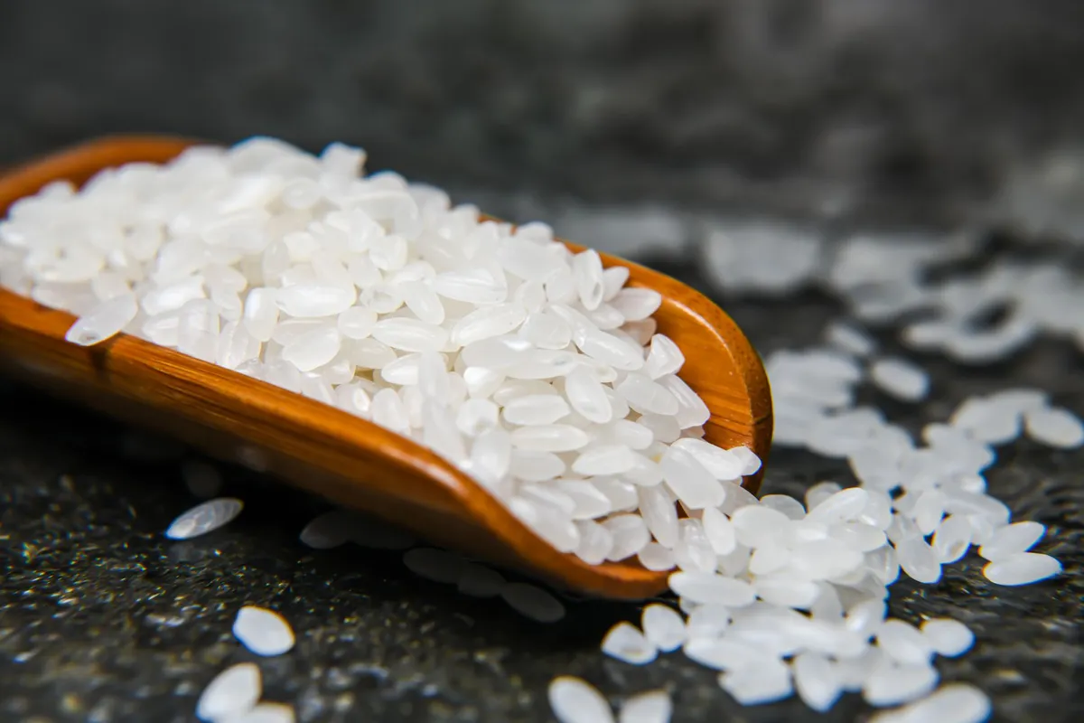 White koji mold growing on rice grains