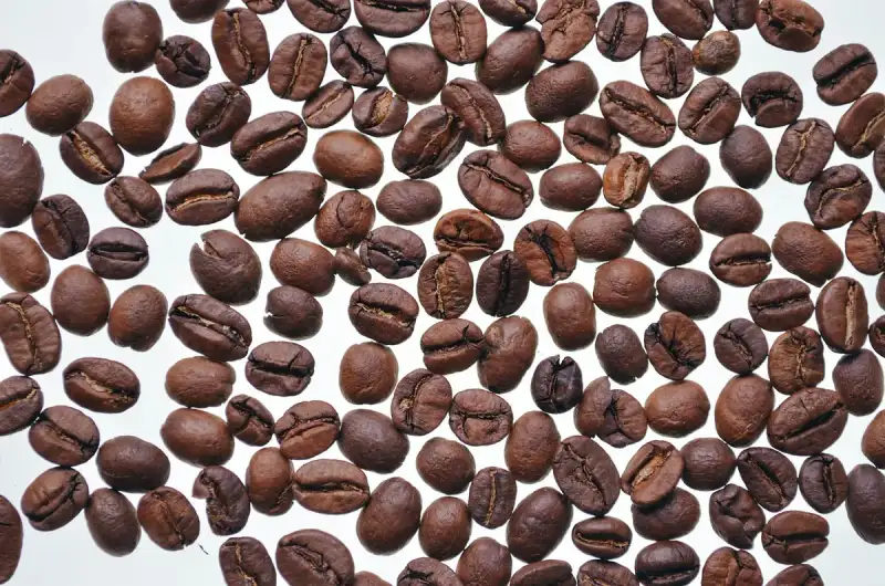 The Dark Elixir of Waking Minds: A Deep Historical, Etymological, and Economic Inquiry into Coffee