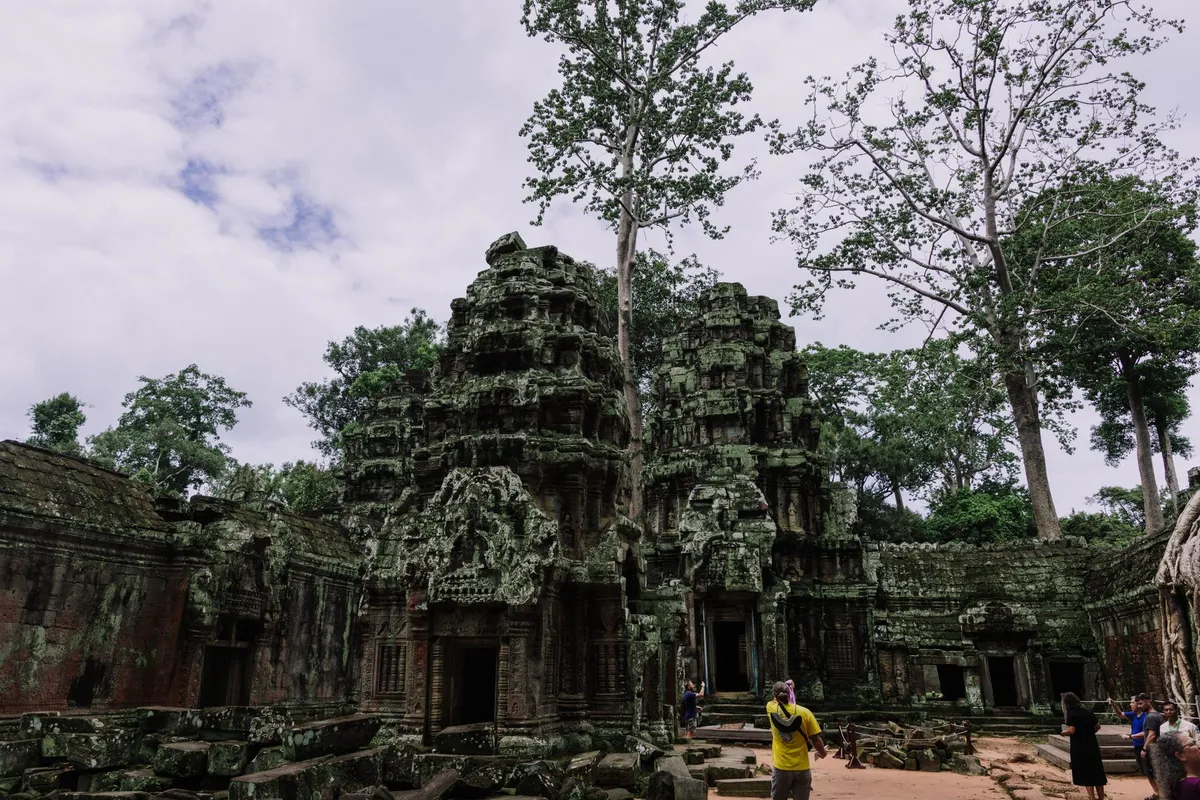 Jungle hike near Angkor Wat with lush greenery