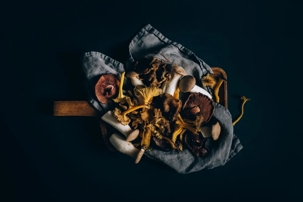 Assortment of umami rich ingredients like dried mushrooms, parmesan cheese, tomatoes and anchovies