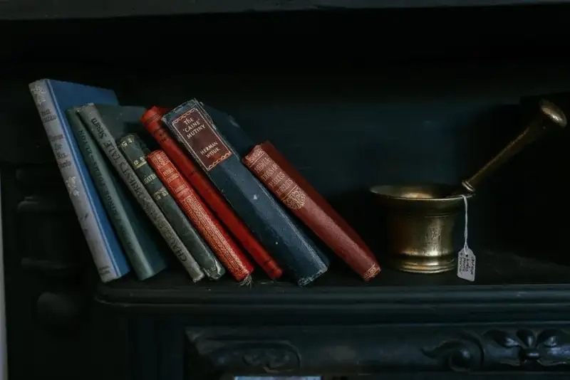 Collection of various antique books displayed on a dark wooden shelf, each with a subtle hint of fore-edge painting visible when slightly fanned, rich library setting, soft ambient light highlighting the hidden art
