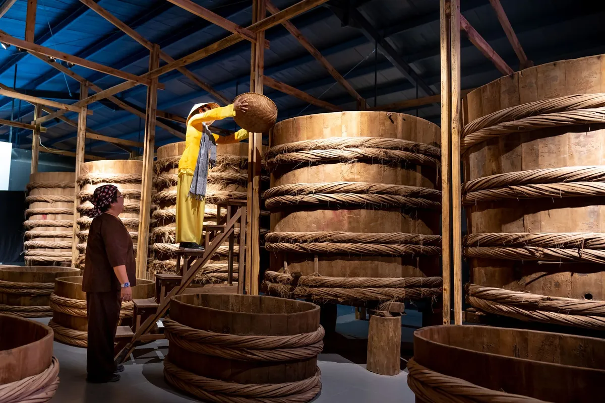 The Living Gold of the Koji Room: Decoding Traditional Miso Fermentation