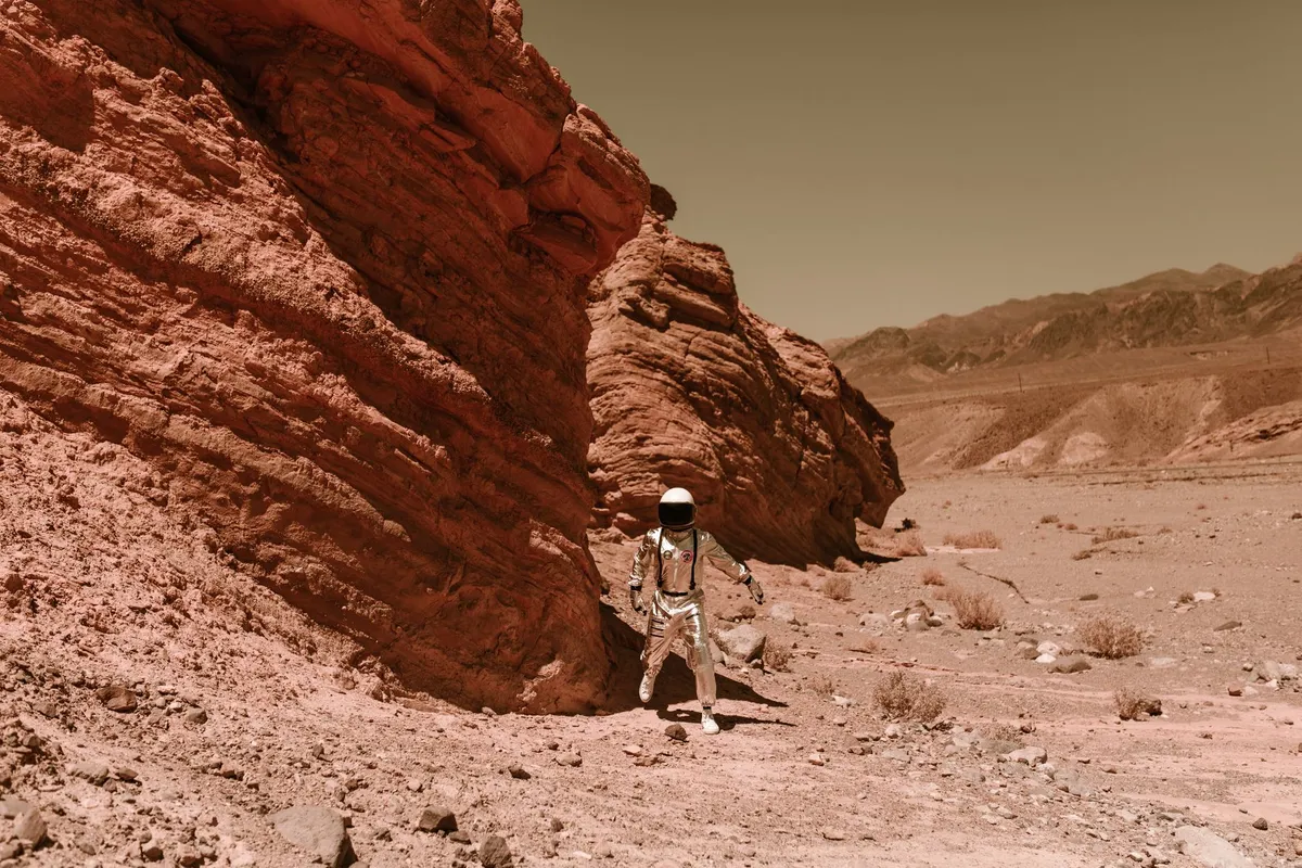 The Martian Architecture: Converging Quantum Sensing and Neural Distillation for Interplanetary Logistics