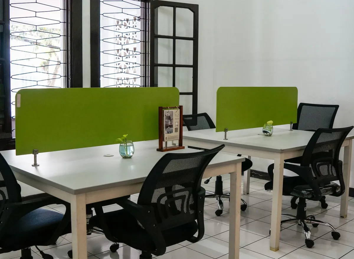 A serene coworking space overlooking tropical scenery